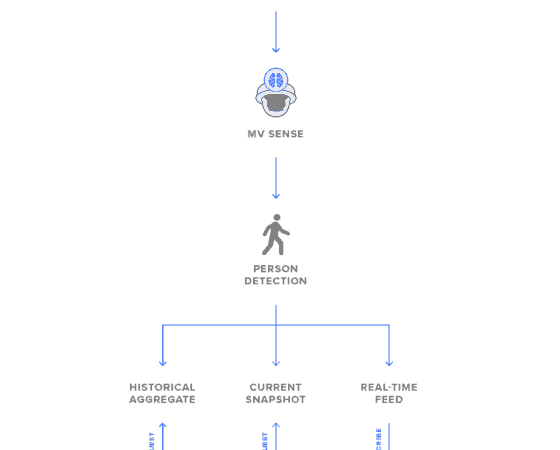 MV diagram